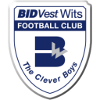 Bidvest Wits University